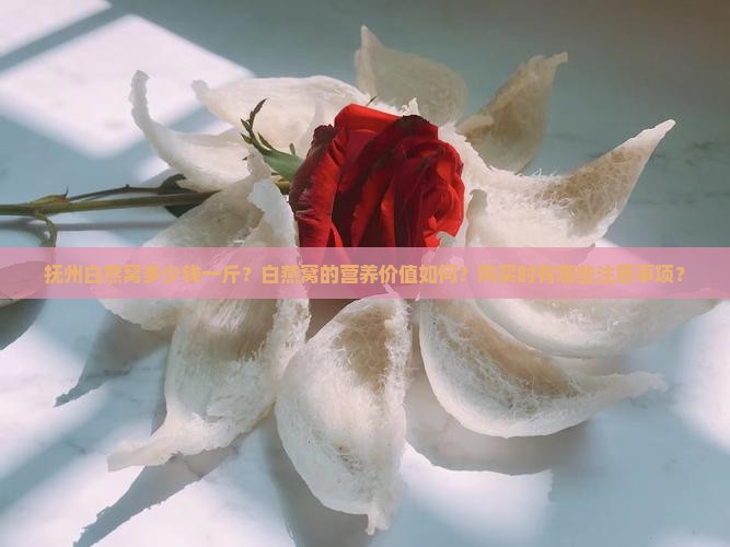 抚州白燕窝多少钱一斤？白燕窝的营养价值如何？购买时有哪些注意事项？