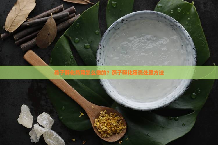 燕子孵化燕窝怎么做的？燕子孵化蛋壳处理方法