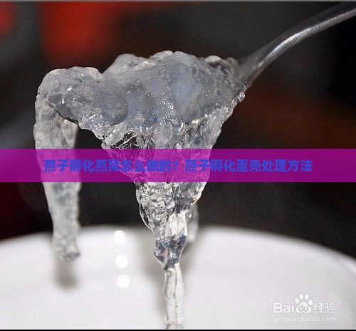 燕子孵化燕窝怎么做的？燕子孵化蛋壳处理方法