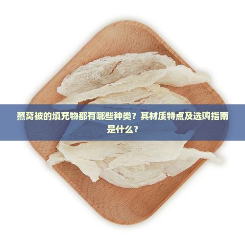 燕窝被的填充物都有哪些种类？其材质特点及选购指南是什么？