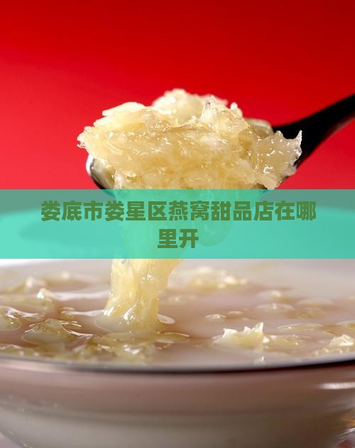 娄底市娄星区燕窝甜品店在哪里开