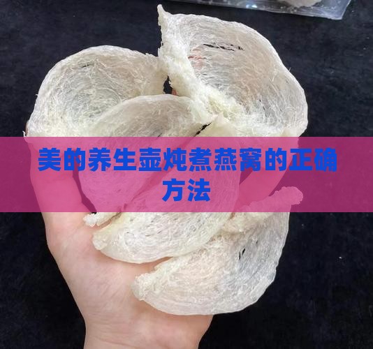 美的养生壶炖煮燕窝的正确方法