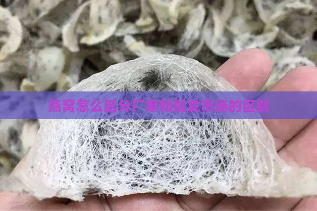 燕窝怎么区分厂家和批发市场的区别