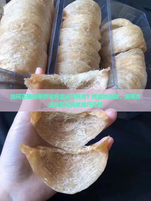 如何正确使用燕窝炖盅进行炖煮？炖盅的选择、使用方法及燕窝炖煮技巧详解