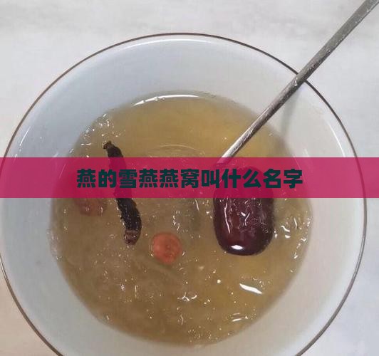 燕的雪燕燕窝叫什么名字