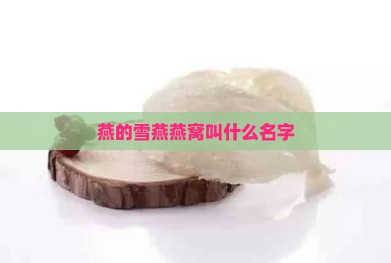 燕的雪燕燕窝叫什么名字