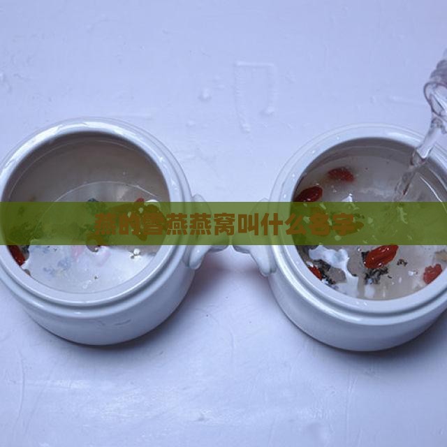 燕的雪燕燕窝叫什么名字