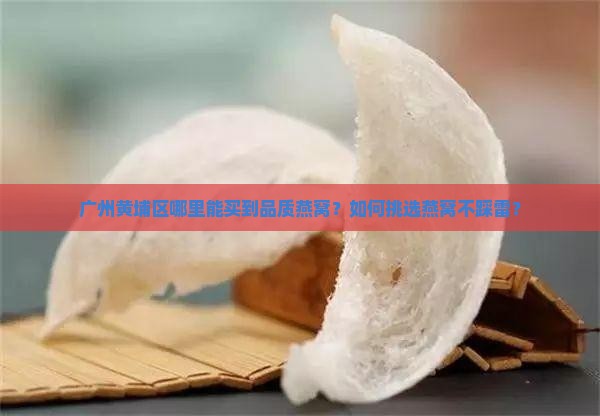 广州黄埔区哪里能买到品质燕窝？如何挑选燕窝不踩雷？