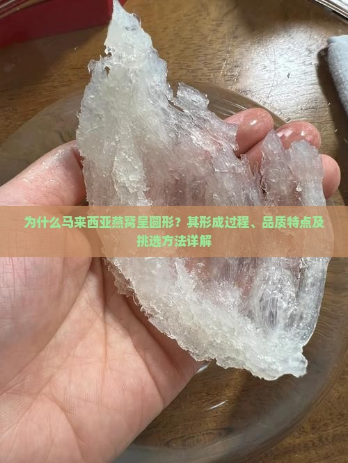 为什么马来西亚燕窝呈圆形？其形成过程、品质特点及挑选方法详解