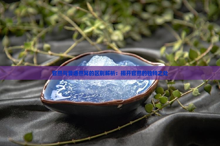 官燕与普通燕窝的区别解析：揭开官燕的独特之处