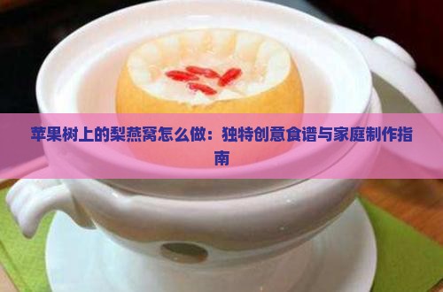 苹果树上的梨燕窝怎么做：独特创意食谱与家庭制作指南