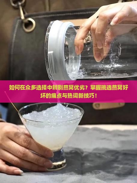 如何在众多选择中辨别燕窝优劣？掌握挑选燕窝好坏的痛点与热词新技巧！
