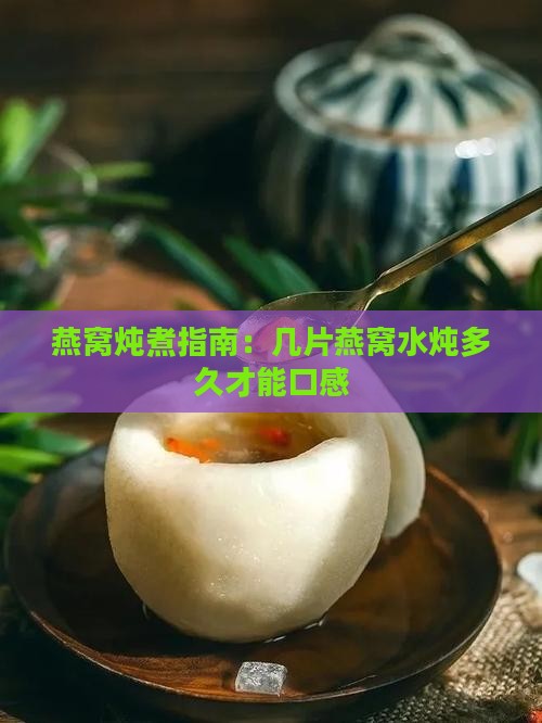 燕窝炖煮指南：几片燕窝水炖多久才能口感