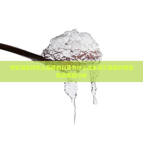 燕窝泡发好怎么是碎的以及为什么泡发后不是条状而是碎的原因分析