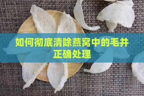 如何彻底清除燕窝中的毛并正确处理