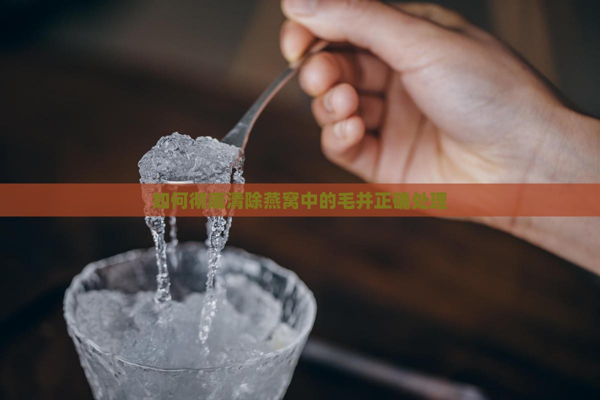 如何彻底清除燕窝中的毛并正确处理