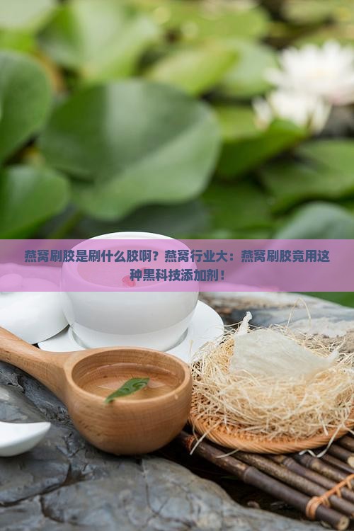 燕窝刷胶是刷什么胶啊？燕窝行业大：燕窝刷胶竟用这种黑科技添加剂！