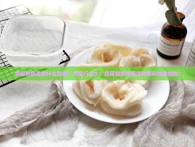 燕窝刷胶是刷什么胶啊？燕窝行业大：燕窝刷胶竟用这种黑科技添加剂！