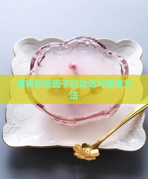 燕窝抗衰因子的功效与使用方法