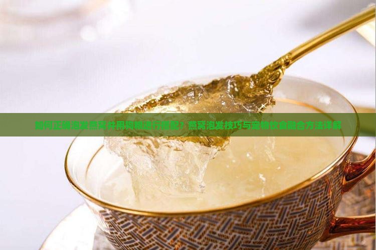 如何正确泡发燕窝并用狗粮进行搭配？燕窝泡发技巧与宠物饮食融合方法详解