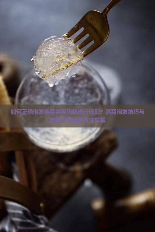 如何正确泡发燕窝并用狗粮进行搭配？燕窝泡发技巧与宠物饮食融合方法详解