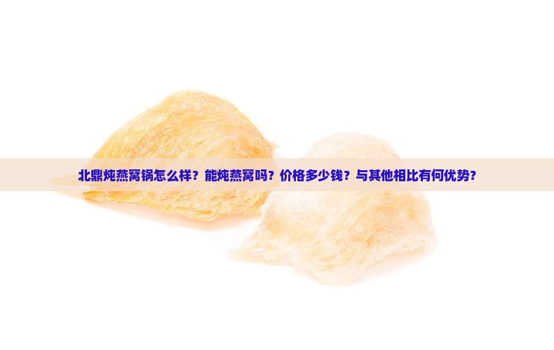 北鼎炖燕窝锅怎么样？能炖燕窝吗？价格多少钱？与其他相比有何优势？