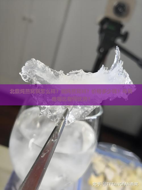 北鼎炖燕窝锅怎么样？能炖燕窝吗？价格多少钱？与其他相比有何优势？