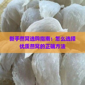 新手燕窝选购指南：怎么选择优质燕窝的正确方法