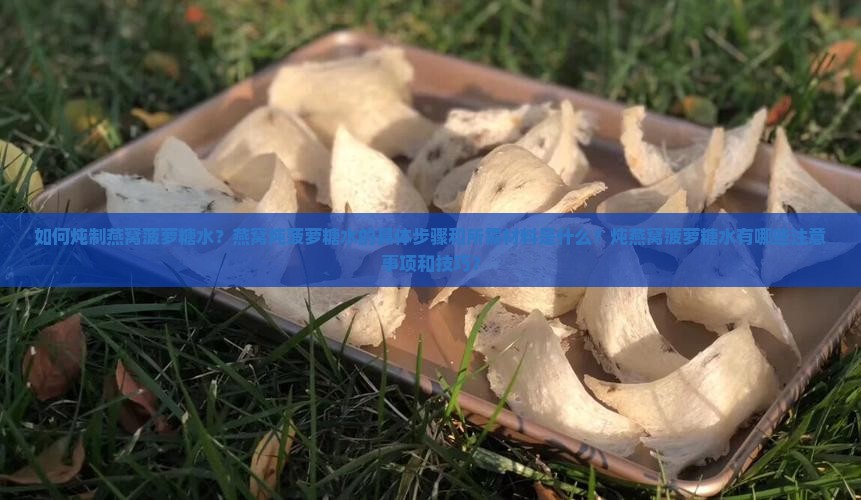 如何炖制燕窝菠萝糖水？燕窝炖菠萝糖水的具体步骤和所需材料是什么？炖燕窝菠萝糖水有哪些注意事项和技巧？