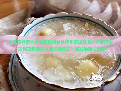 东风灵燕窝泡发时间及相关处理步骤详解多久泡发适宜？如何正确泡发才能保持营养？泡发后如何储存？