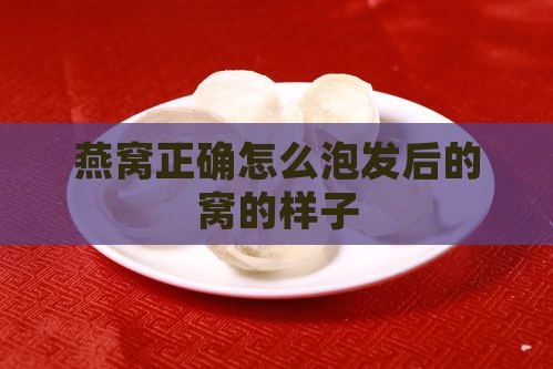 燕窝正确怎么泡发后的窝的样子