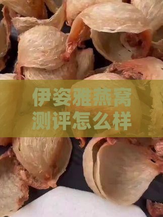 伊姿雅燕窝测评怎么样啊多少钱性价比分析