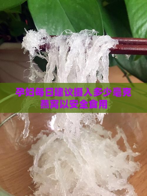 孕妇每日建议摄入多少毫克燕窝以安全食用