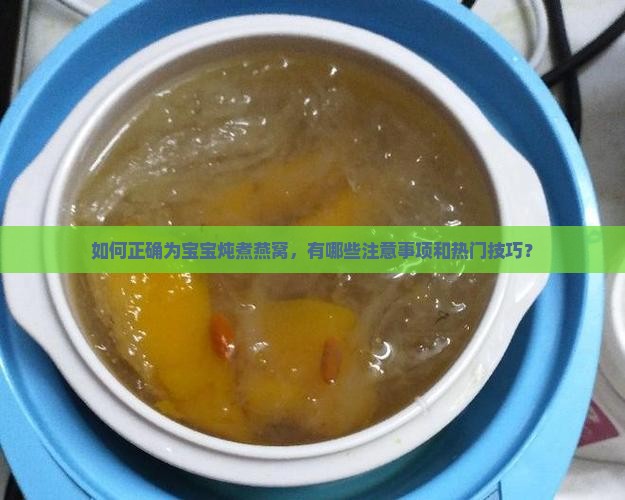 如何正确为宝宝炖煮燕窝，有哪些注意事项和热门技巧？