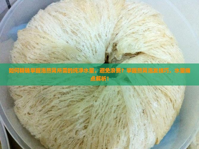 如何精确掌握泡燕窝所需的纯净水量，避免浪费？掌握燕窝泡发技巧，水量痛点解析！