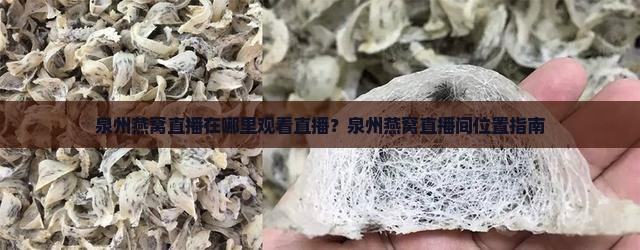 泉州燕窝直播在哪里观看直播？泉州燕窝直播间位置指南