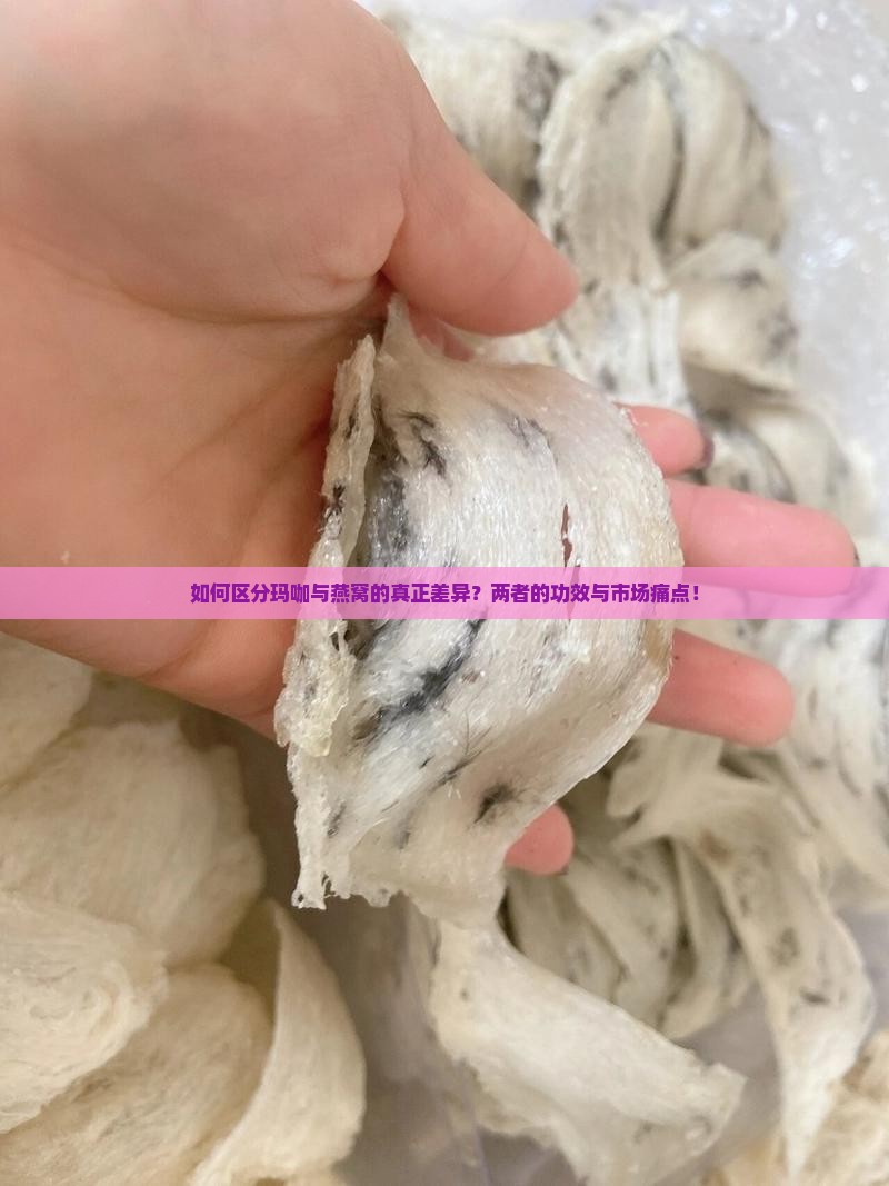 如何区分玛咖与燕窝的真正差异？两者的功效与市场痛点！