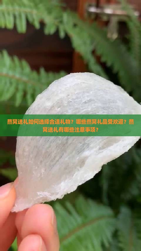 燕窝送礼如何选择合适礼物？哪些燕窝礼品受欢迎？燕窝送礼有哪些注意事项？