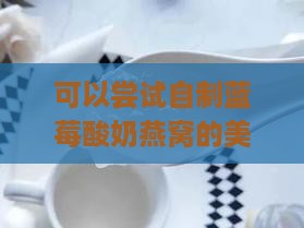 可以尝试自制蓝莓酸奶燕窝的美味做法