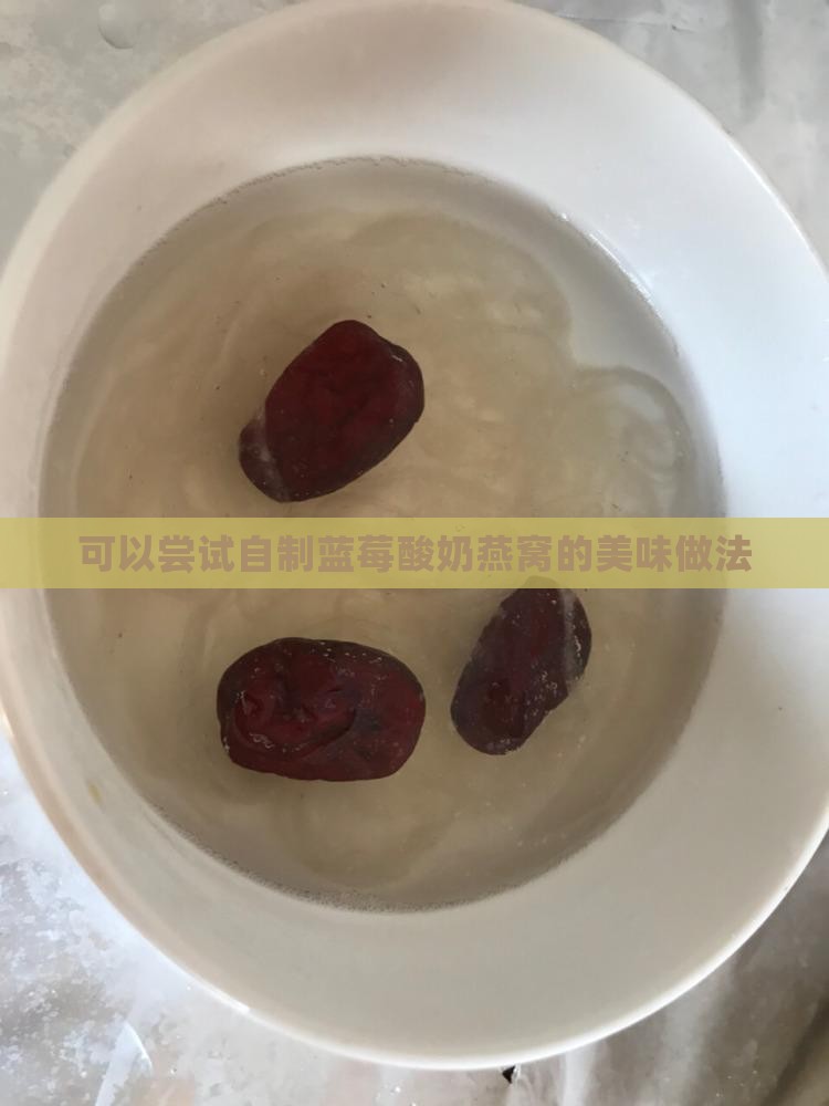 可以尝试自制蓝莓酸奶燕窝的美味做法
