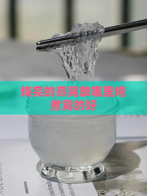 烧完的燕窝放哪里炖煮窝的好