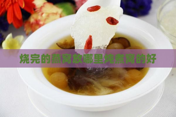 烧完的燕窝放哪里炖煮窝的好