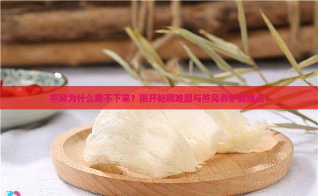 燕窝为什么撕不下来？揭开粘稠难题与燕窝养护新痛点！