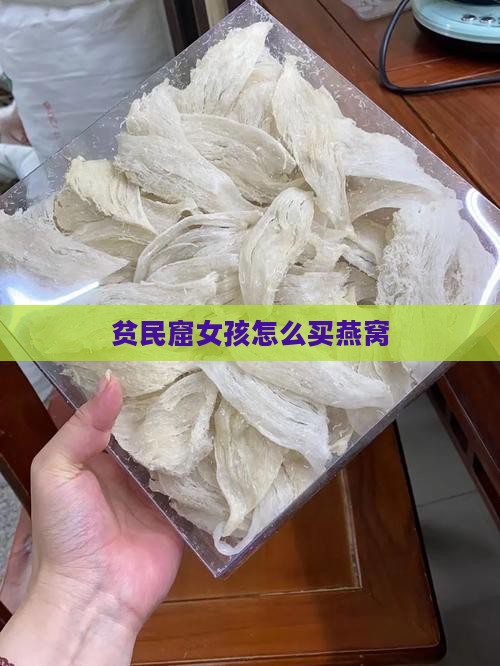 贫民窟女孩怎么买燕窝