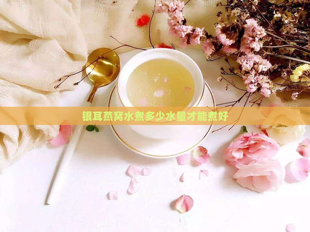 银耳燕窝水煮多少水量才能煮好