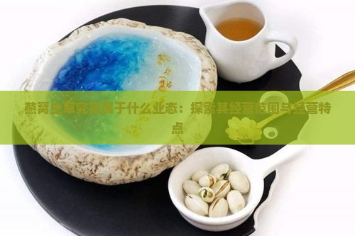 燕窝虫草究竟属于什么业态：探索其经营范围与经营特点
