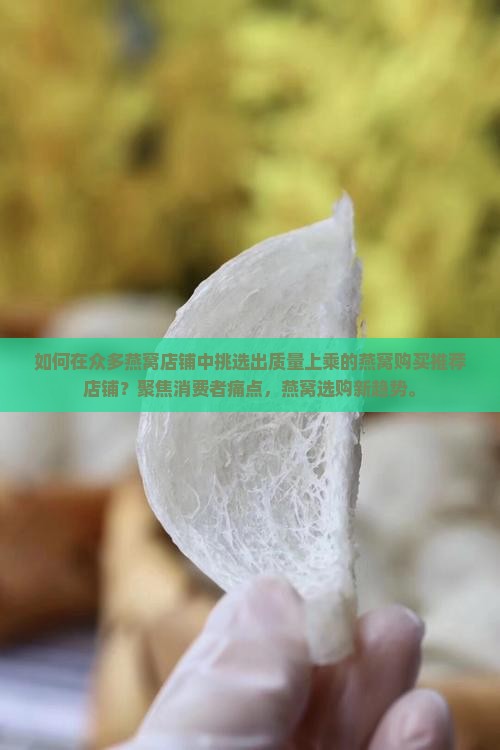 如何在众多燕窝店铺中挑选出质量上乘的燕窝购买推荐店铺？聚焦消费者痛点，燕窝选购新趋势。
