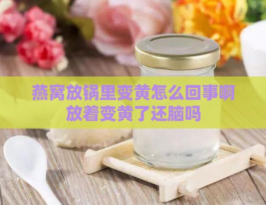 燕窝放锅里变黄怎么回事啊放着变黄了还脑吗