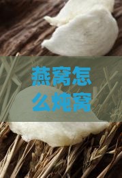 燕窝怎么炖窝的炖锅做法