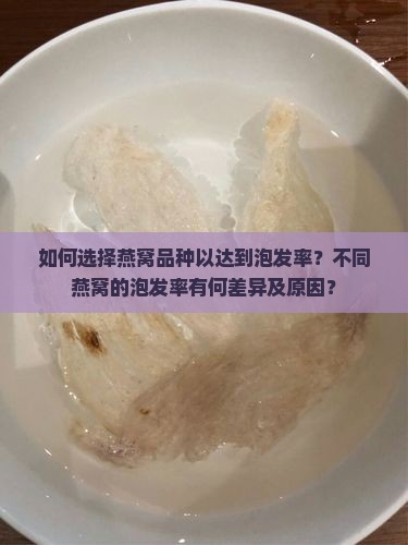 如何选择燕窝品种以达到泡发率？不同燕窝的泡发率有何差异及原因？